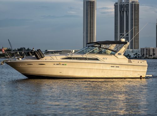 Paloma, Sea Ray Express Cruiser 36’